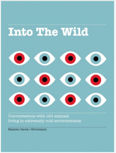page of Into the Wild from Timbuktu magazine