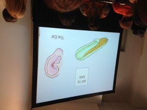 picture of a PowerPoint slide