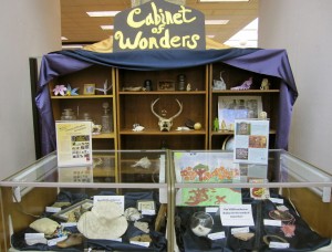 display of a cabinet of wonders