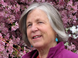 Nancy Bo Flood, guest blogger