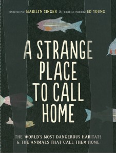 book cover of A Strange Place to Call Home by Marilyn Singer