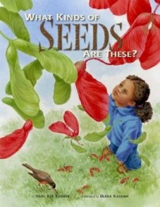 book cover of What Kinds of Seeds are These? By Heidi Bee Roemer