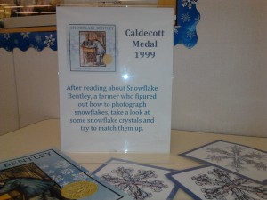snowflake pictures to match read aloud
