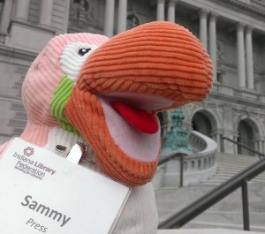 stuffed animal in front of the library of congress