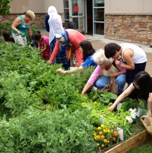 adults and children picking plants