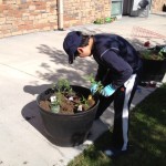 child picking up a plant