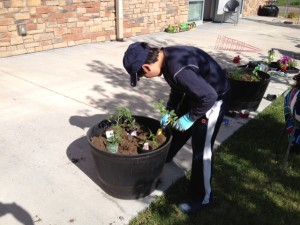 child picking up a plant