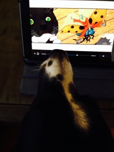 dog watching a movie on the ipad