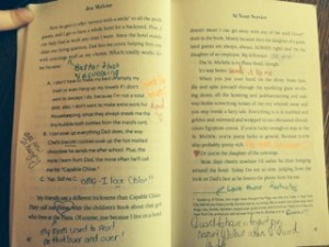 pages of a book with annotations