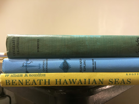 spines of books on a table