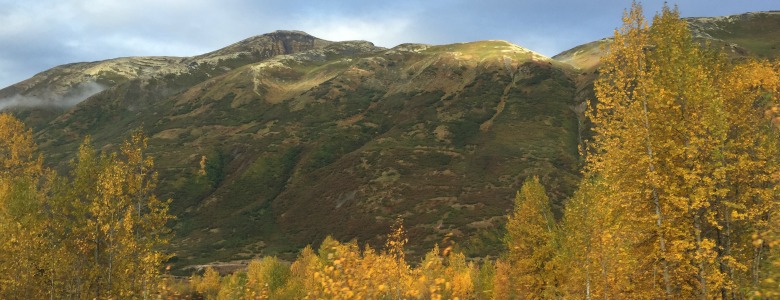 ALSC in AK
