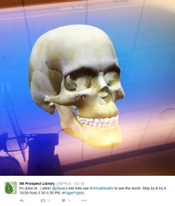 Skull image