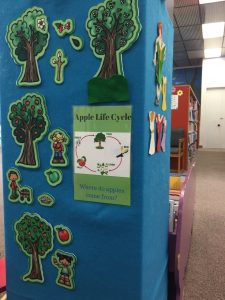 Life cycle of an apple tree on a flannel wall
