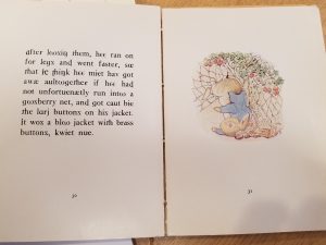 IPA edition of Peter Rabbit (inside)