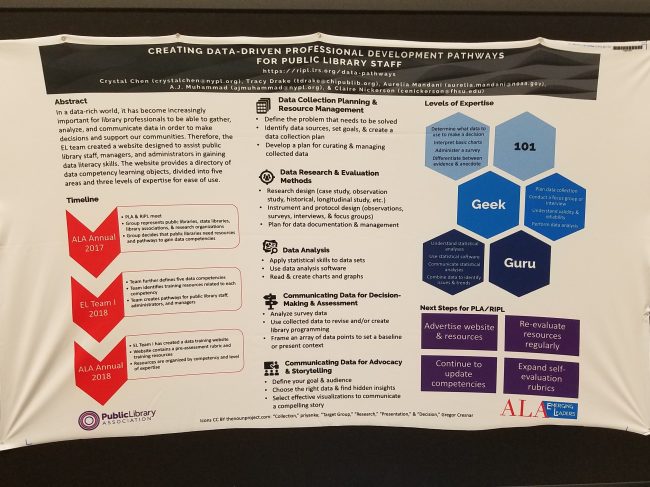 Creating Data-Driven Professional Development Pathways for Public Library Staff