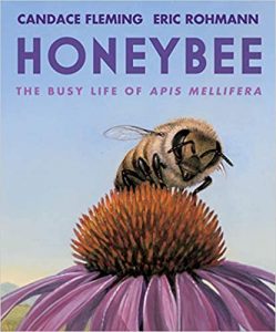 Cover image of Honeybee by Candace Fleming