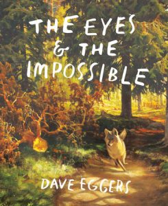 Cover image of The Eyes & The Impossible