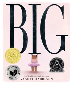Cover image of Big by Vashti Harrison